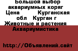 Большой выбор аквариумных коряг › Цена ­ 200 - Курганская обл., Курган г. Животные и растения » Аквариумистика   